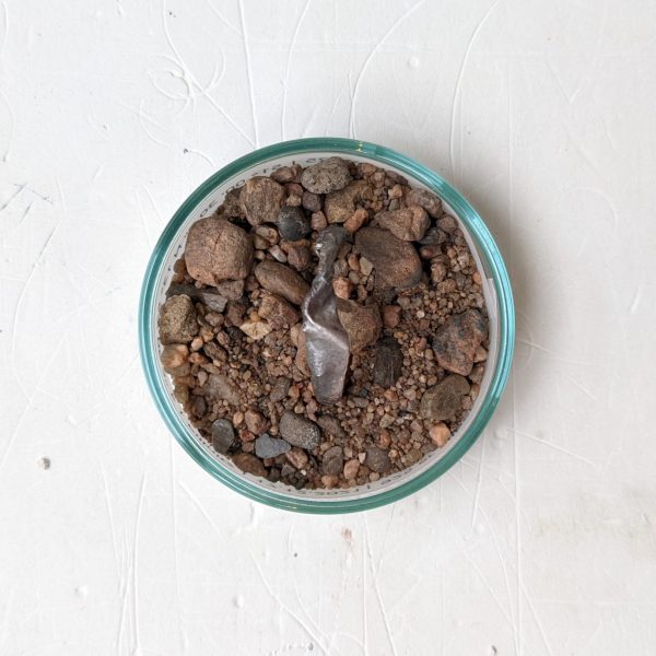 anne kaden_andenken_Trauerbegleiter_50 anne kaden_andenken_Trauerbegleiter_50