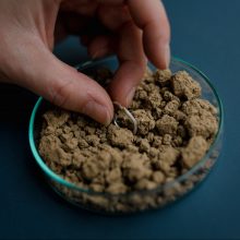 Anne Kaden Ring Erde