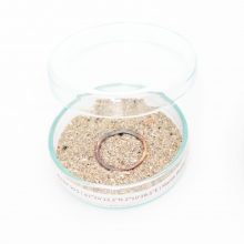 anne kaden_andenken_Trauerbegleiter_47 anne kaden_andenken_Trauerbegleiter_47